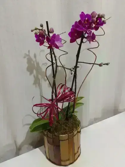 Orquídeas / Roxas / 02 Unidades