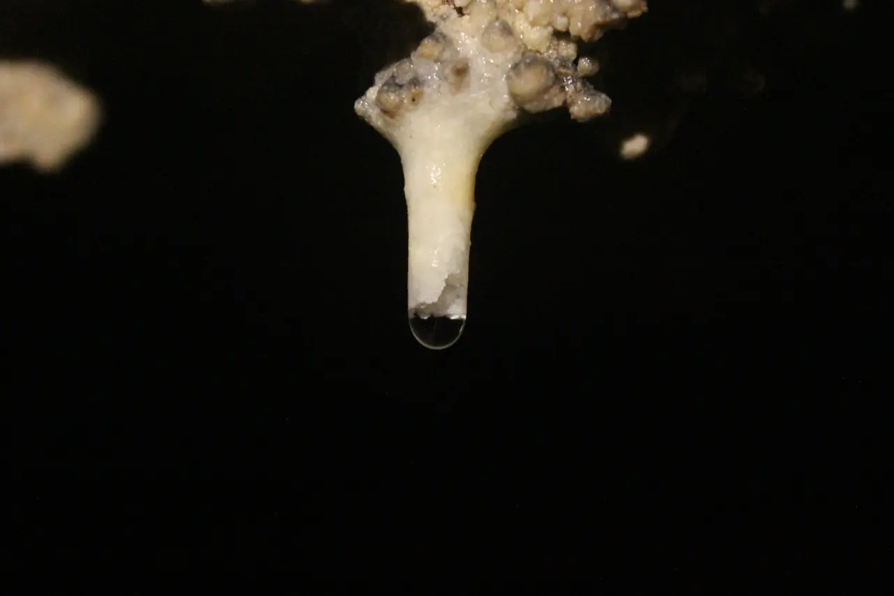 Caverna Olhos dÁgua — GUPE