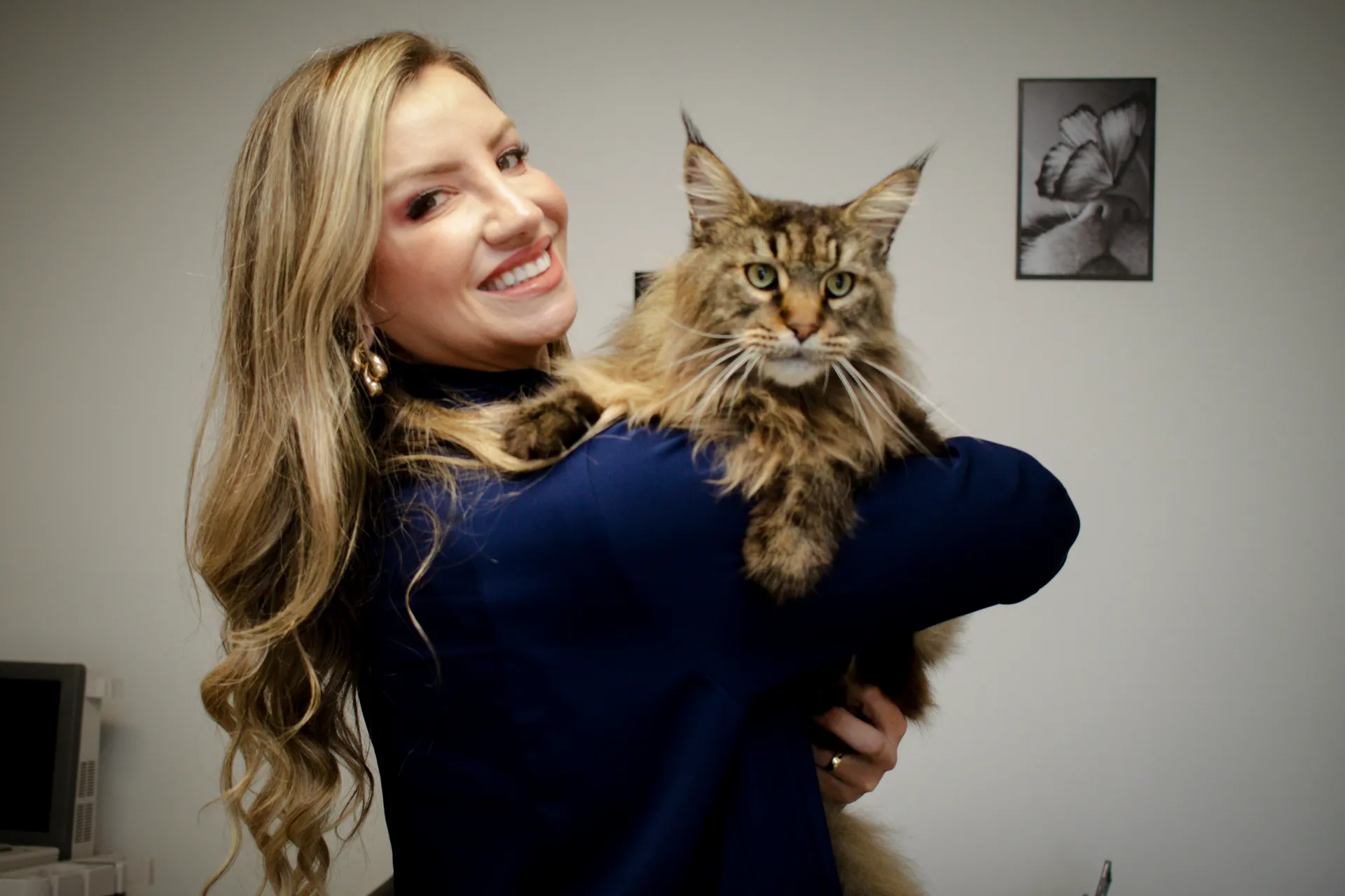 Ambiente cat friendly