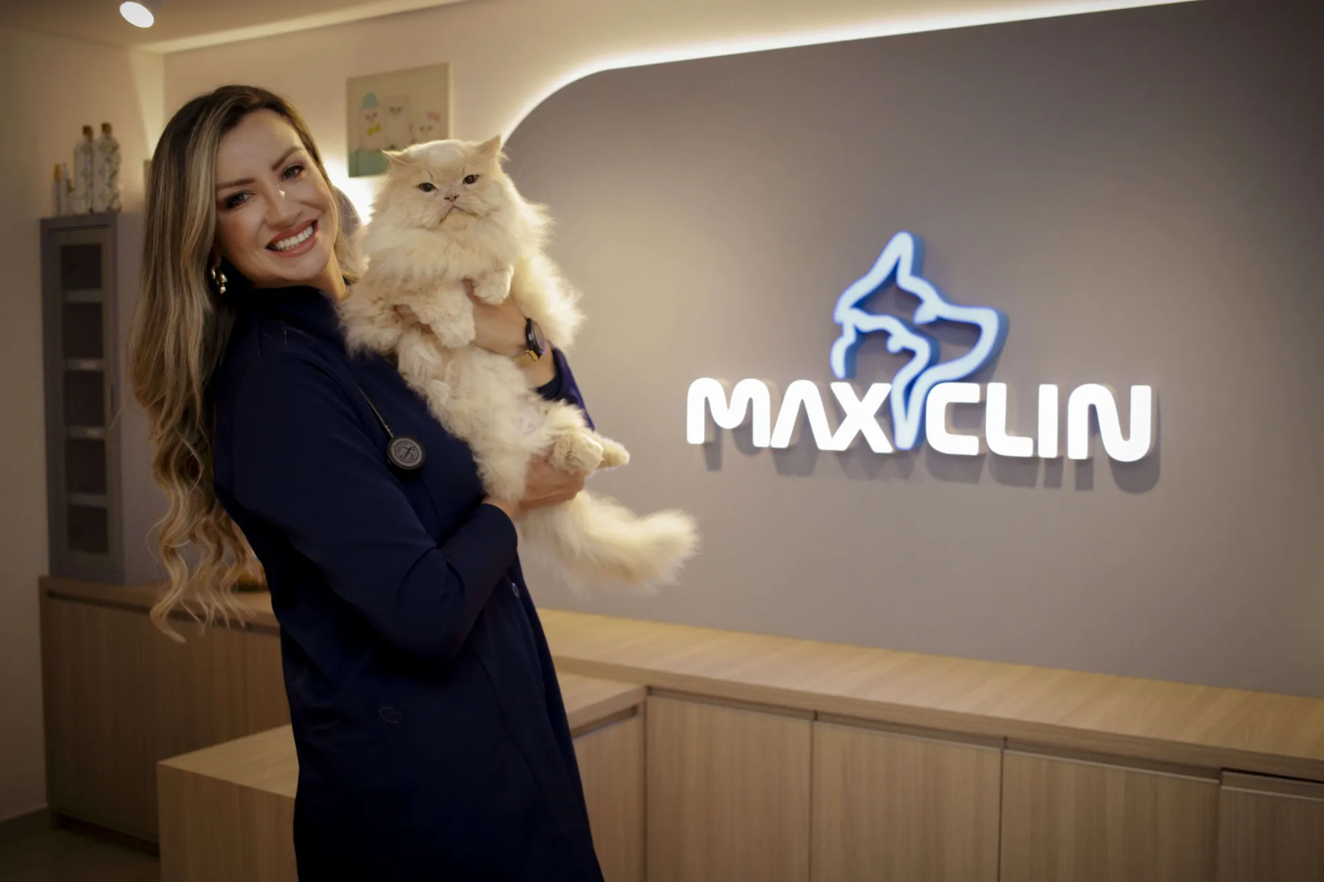 Bem-estar felino
