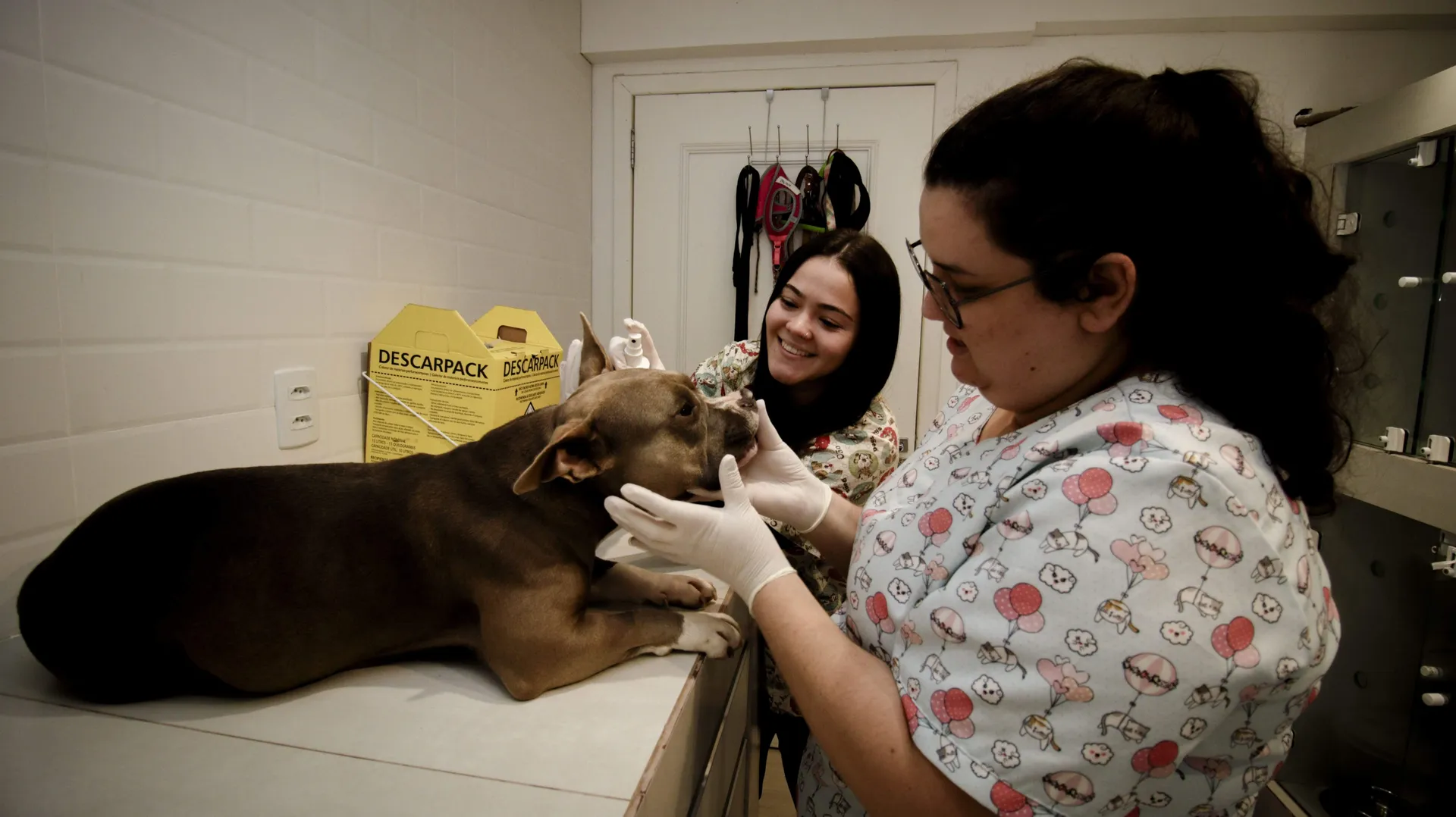 Atendimento emergencial 24 horas na Maxiclin