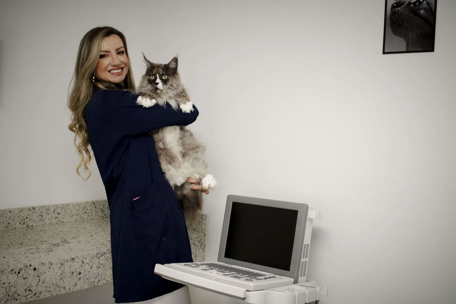 Dra. Larissa Armstrong — Médica Veterinária, Especialista em Medicina Felina