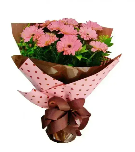 Gérberas Rosas