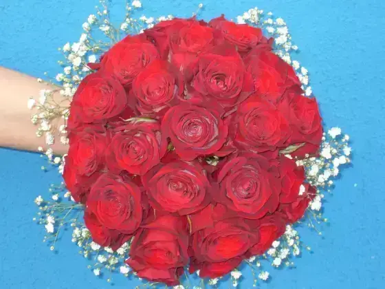 Buquê Noiva Rosas Vermelhas Tipo Exportação - 36 Rosas