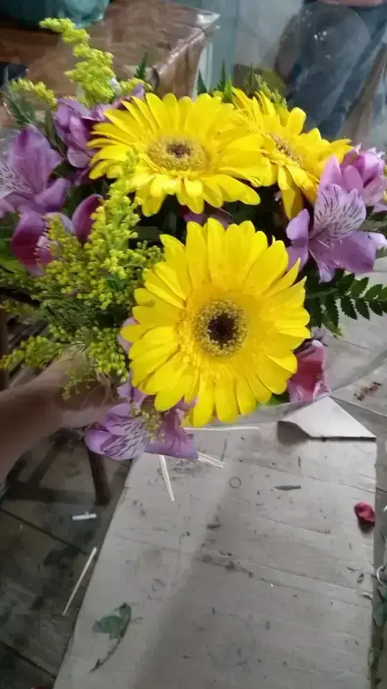 Gerberas Ramalhete