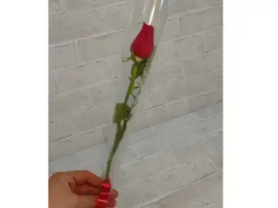 Rosa Vermelhas Simples