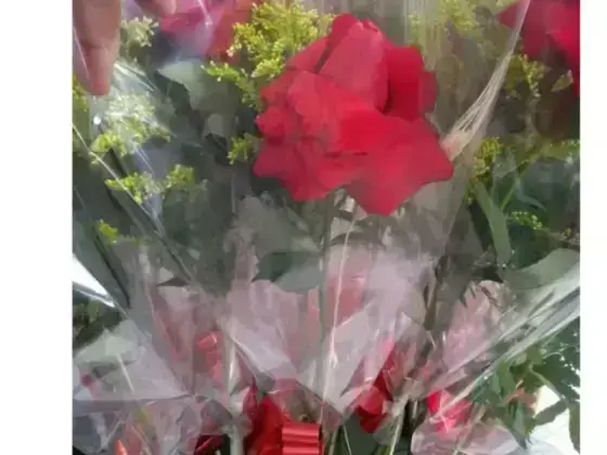 Rosa Dobrada Manualmente