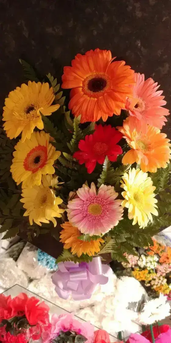 Gérberas Coloridas