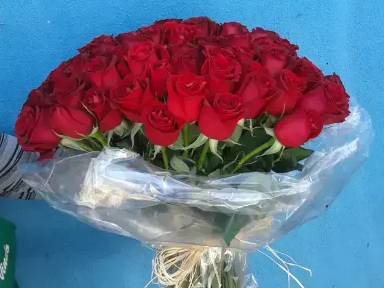 Buquê Gigante de Rosas