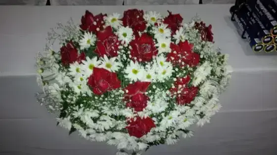 Americano Rosas Abertas