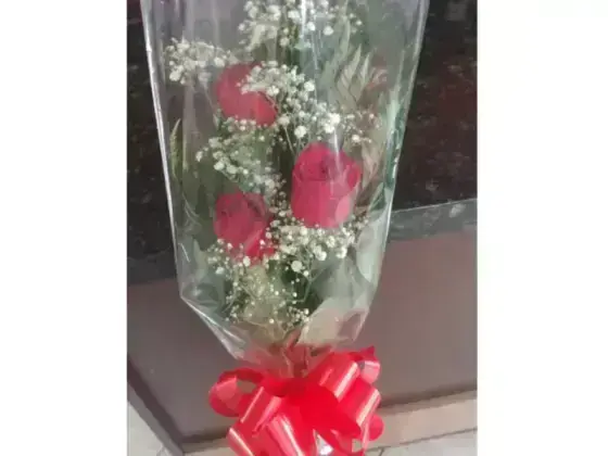 Ramalhete de Rosas Vermelhas - 3 Rosas