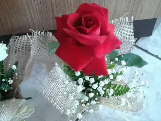 Arranjo de 1 Rosa Dobrada na Juta - Vermelho