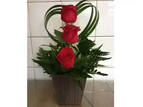 Ikebana de Rosas no Cachepot - 3 Rosas