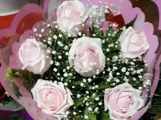 Buquê de Rosas Cor de Rosa - 6 Rosas