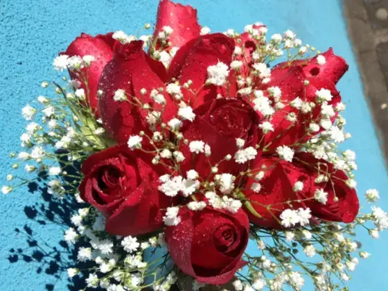 Buquê Noiva Rosas Vermelhas - 12 Rosas