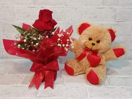 Arranjo com 1 Rosa Dobrada Vermelha - + Urso de Pelucia Pequeno
