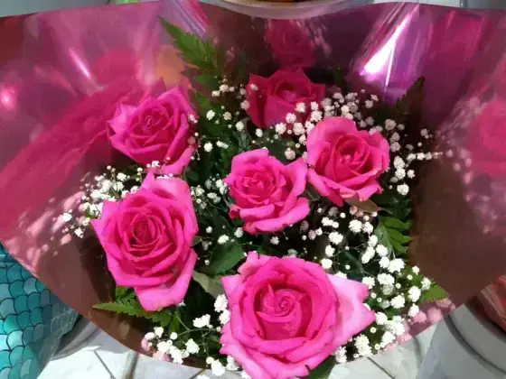 Buquê de Rosas Pink - 6 Rosas
