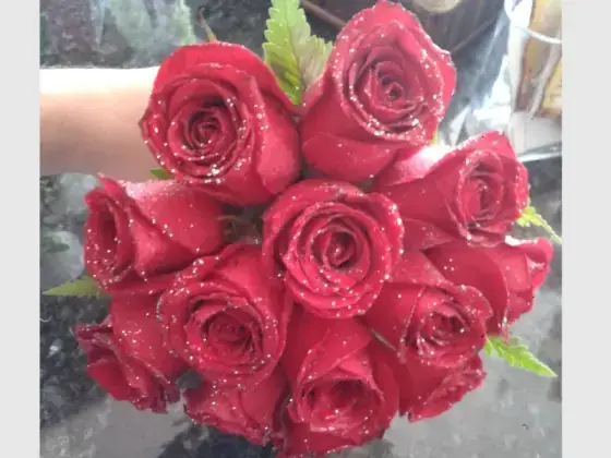 Buquê Noiva Rosas Vermelhas - 15 Rosas