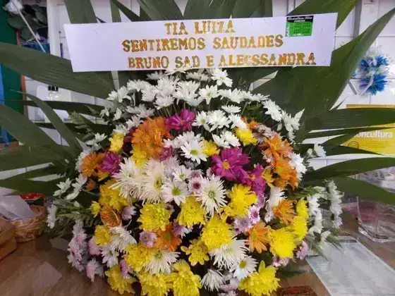 Arranjo em Leque de Flores do Campo 02