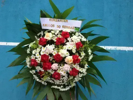 Corbélia Redonda de Rosas Abertas em Tamanho Médio