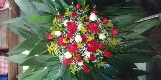 Corbélia Rendonda de Rosas
