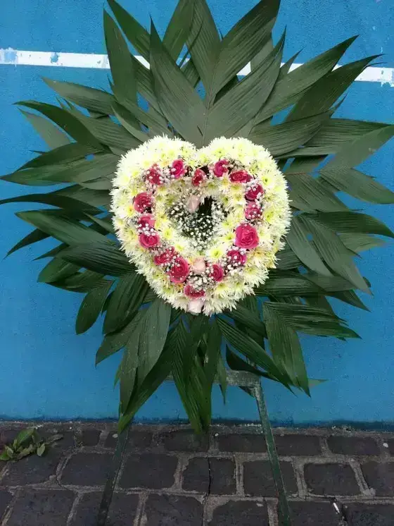 Coração Grande de Xena e Rosas
