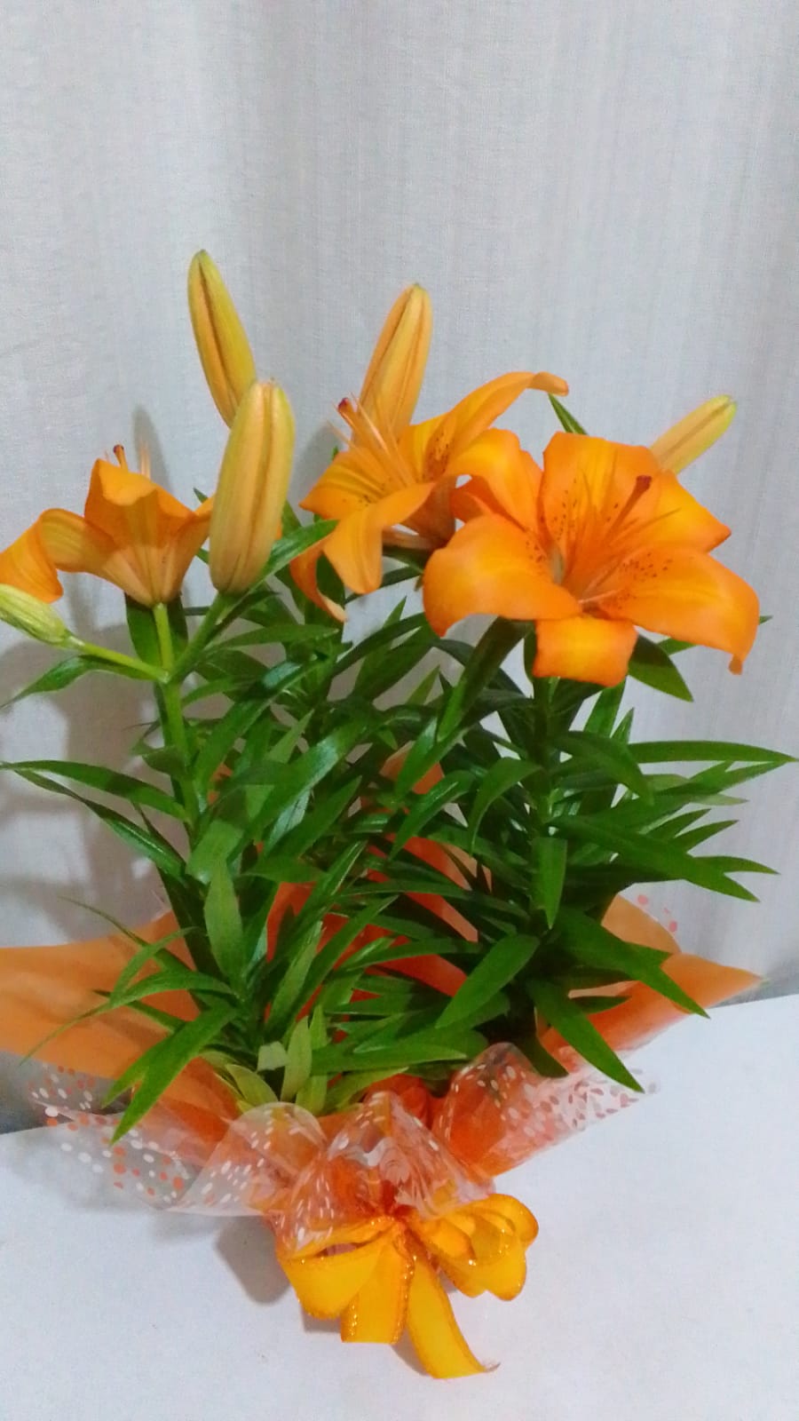 Lírio sem perfume / Laranja / 01 Unidade