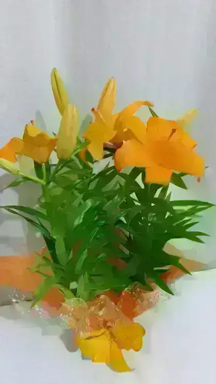 Lírio Sem Perfume / Laranja / 01 Unidade
