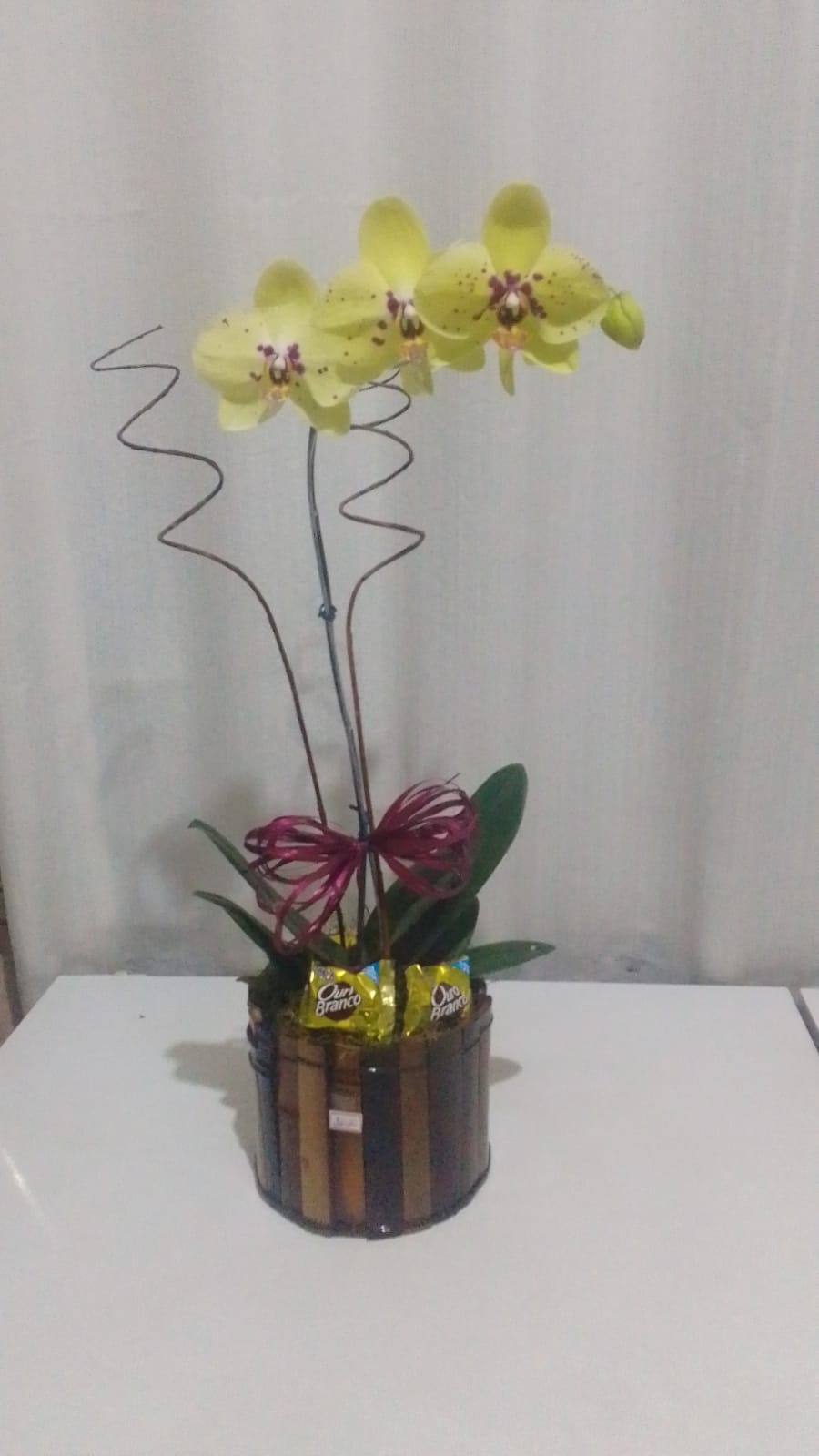 Orquídeas Com bombons / Amarelas / 01 Unidade