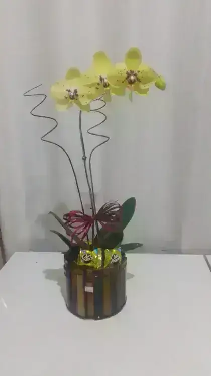 Orquídeas com Bombons / Amarelas / 01 Unidade