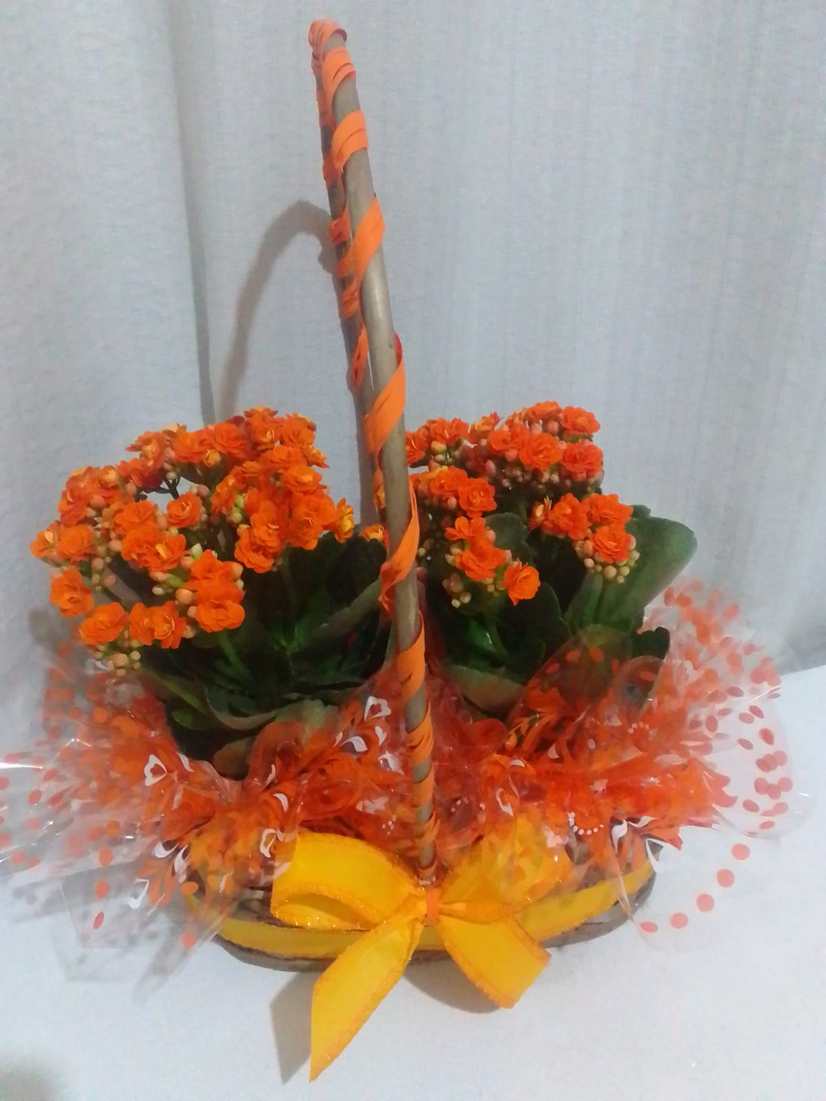 Calandiva Na cesta / Laranja / 02 Unidades