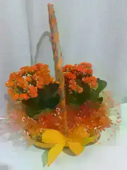 Calandiva na Cesta / Laranja / 02 Unidades