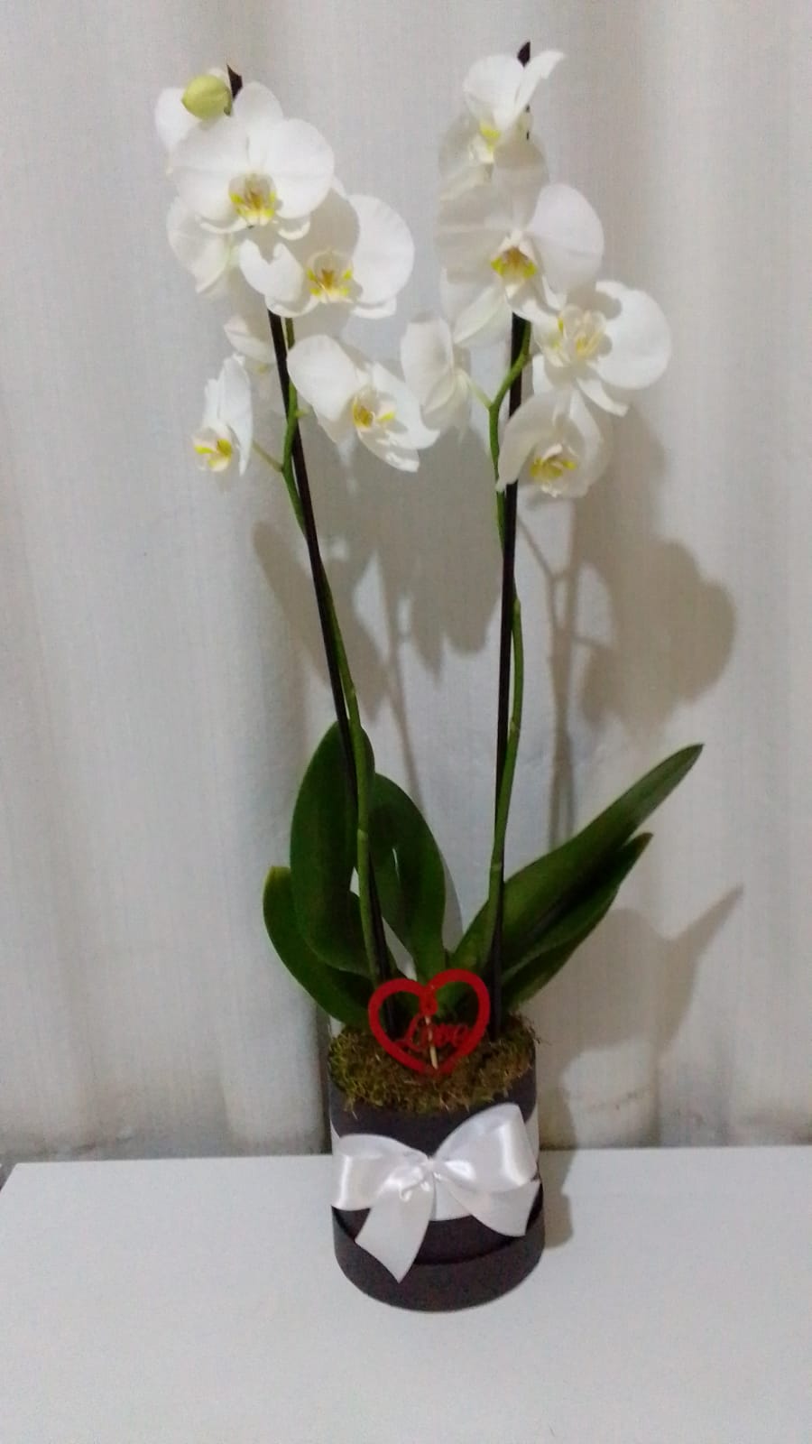 Orquídeas / Brancas / 02 Unidades