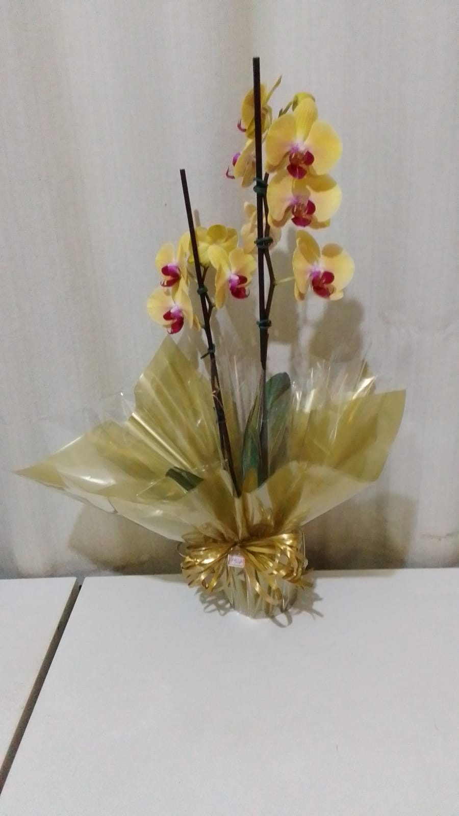 Orquídeas / Amarelas / 02 Unidades