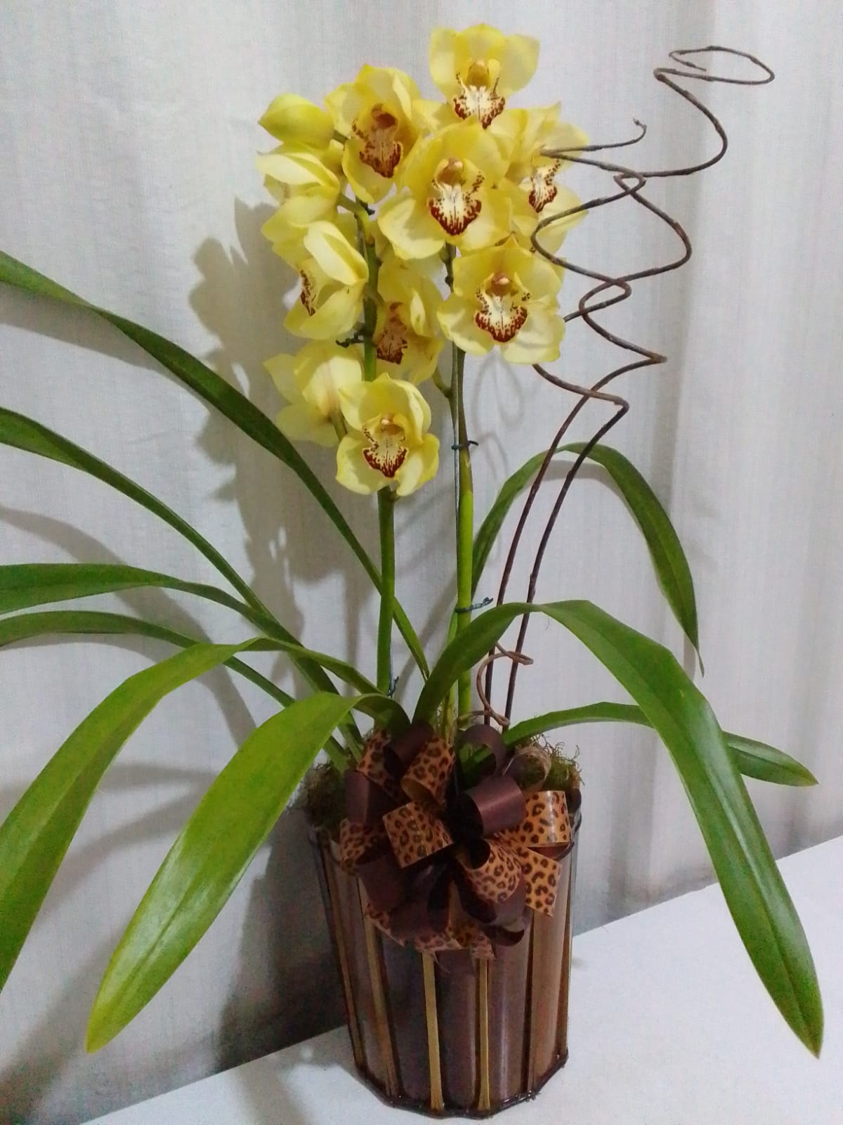 Orquídeas / Amarelas / 02 Unidades