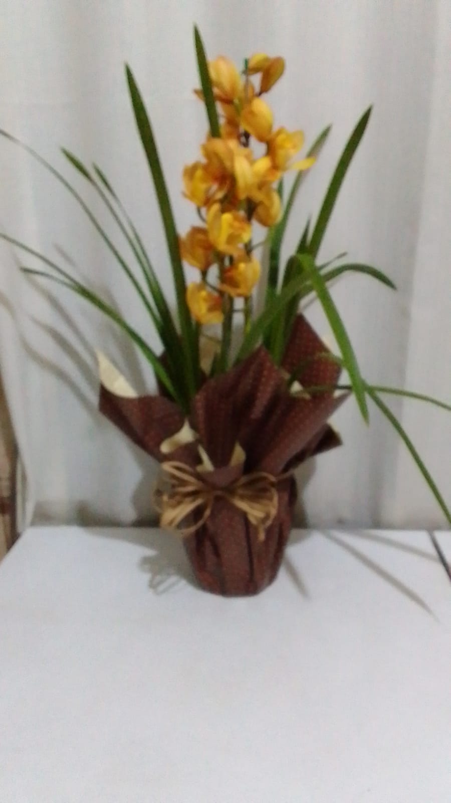 Orquídeas / Amarelas / 02 Unidades