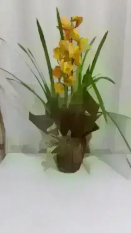 Orquídeas / Amarelas / 02 Unidades
