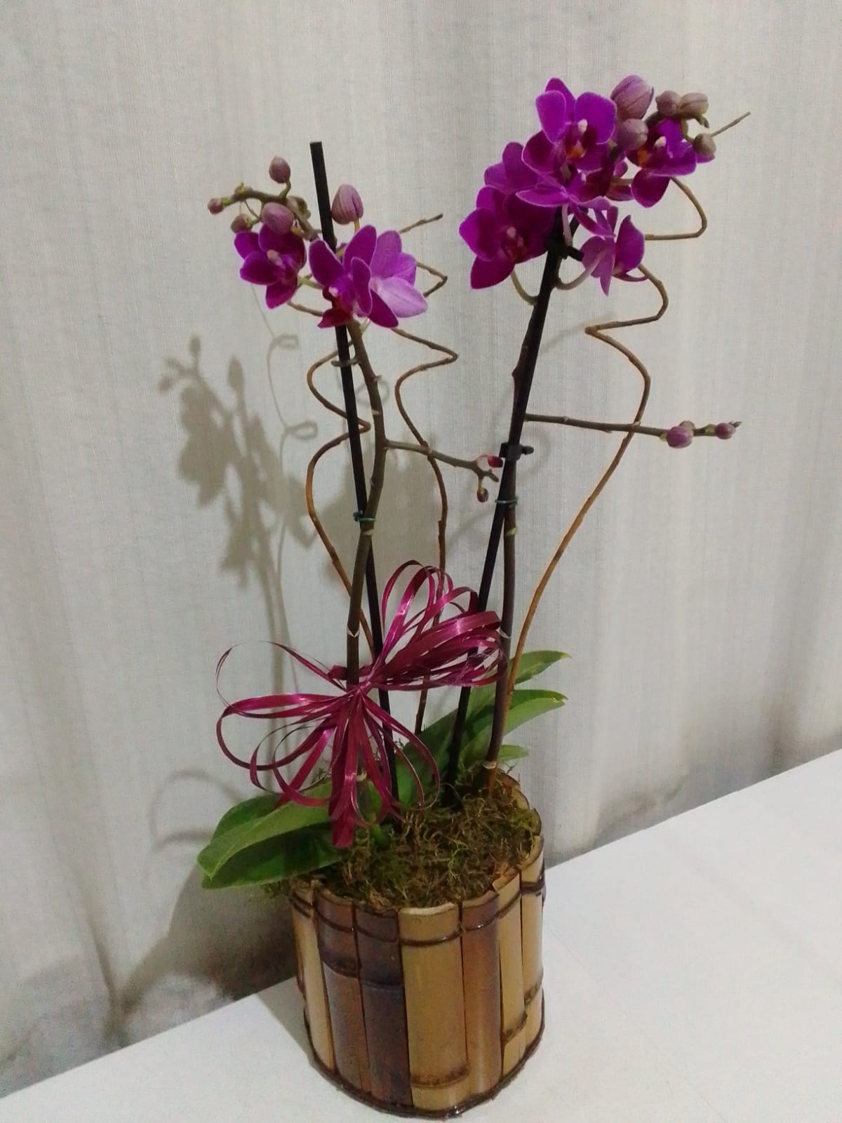 Orquídeas / Roxas / 02 Unidades