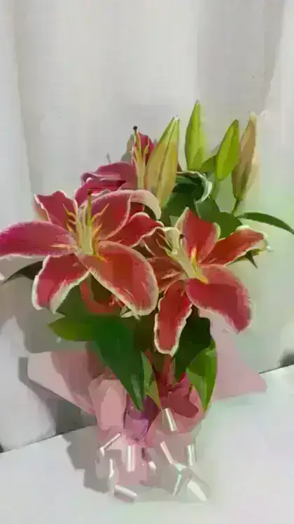 Lírio Perfumado / Rosa