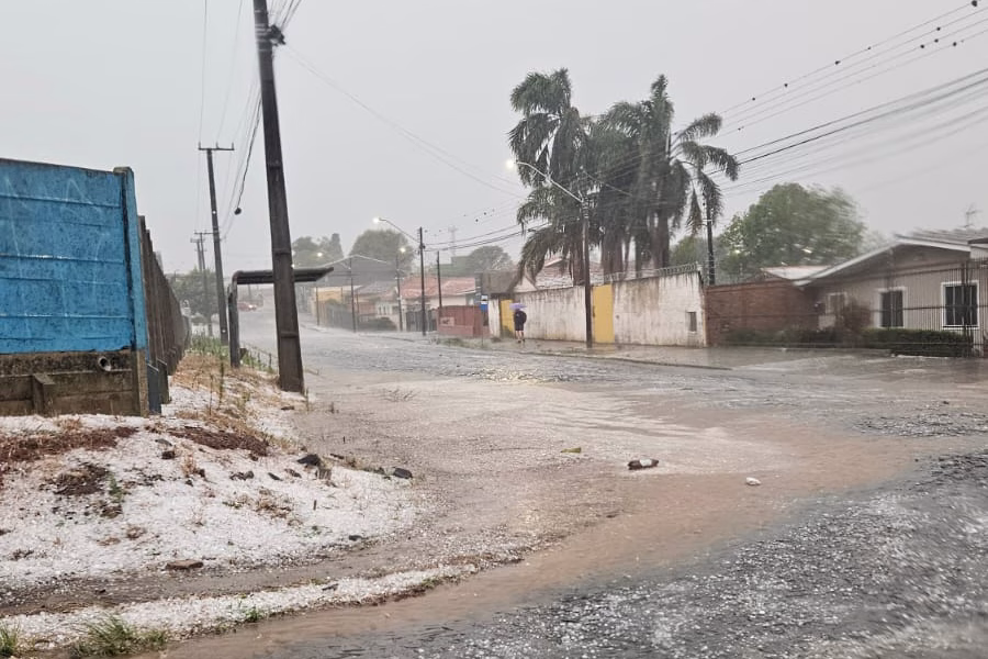 Temporal de granizo causa estragos e Estado envia lonas e telhas a Ponta Grossa