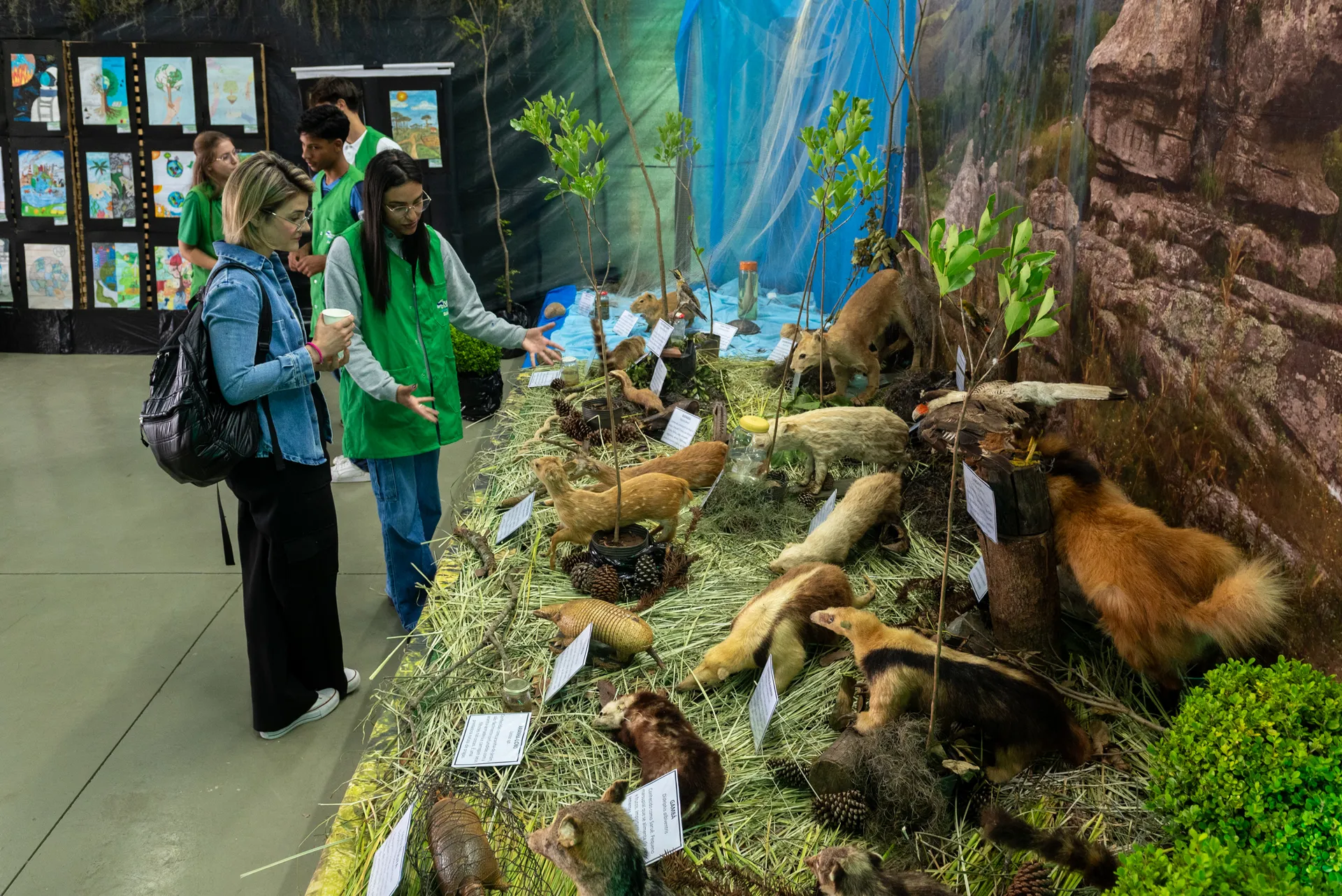 Exposição sobre meio ambiente no Lago de Olarias
