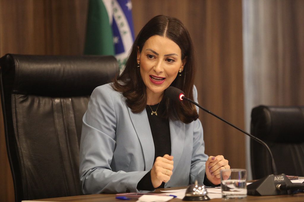 Mabel quer garantir analgesia a gestantes em partos pelo SUS no Paraná