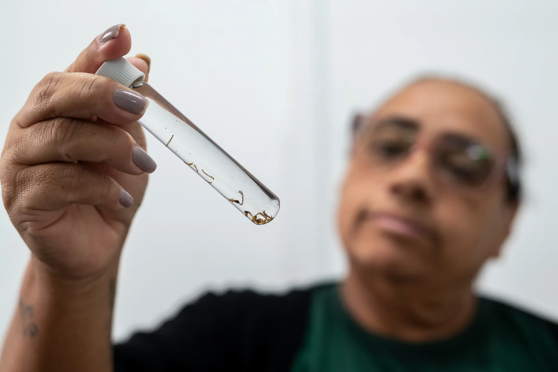 Ponta Grossa intensifica fiscalização para conter dengue