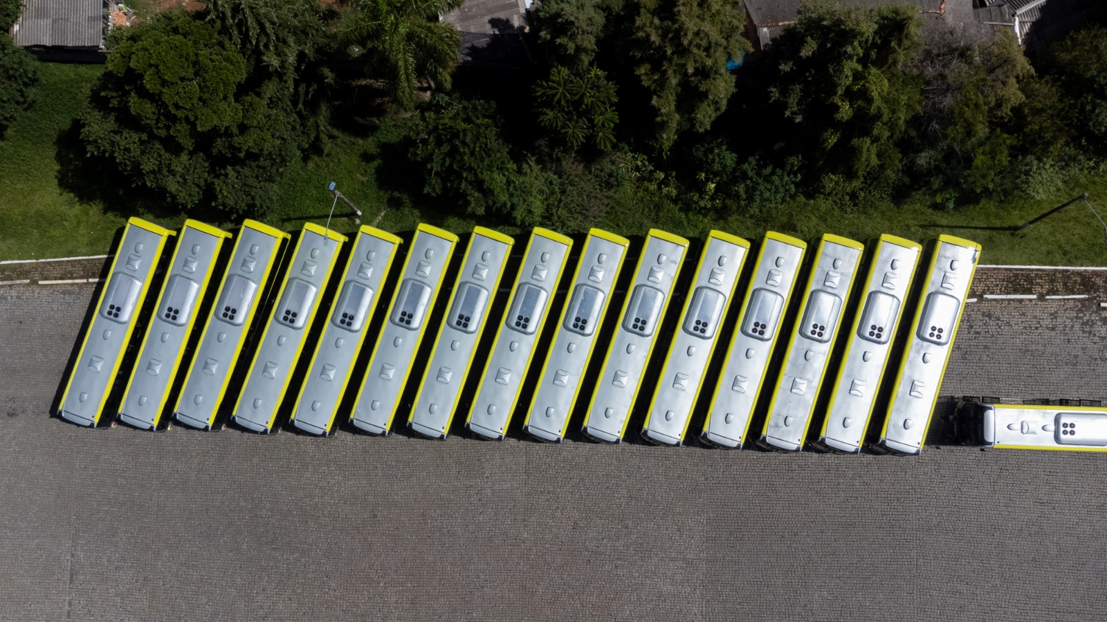 Aquisição de novos ônibus não impede licitação de transporte coletivo, diz Elizabeth
