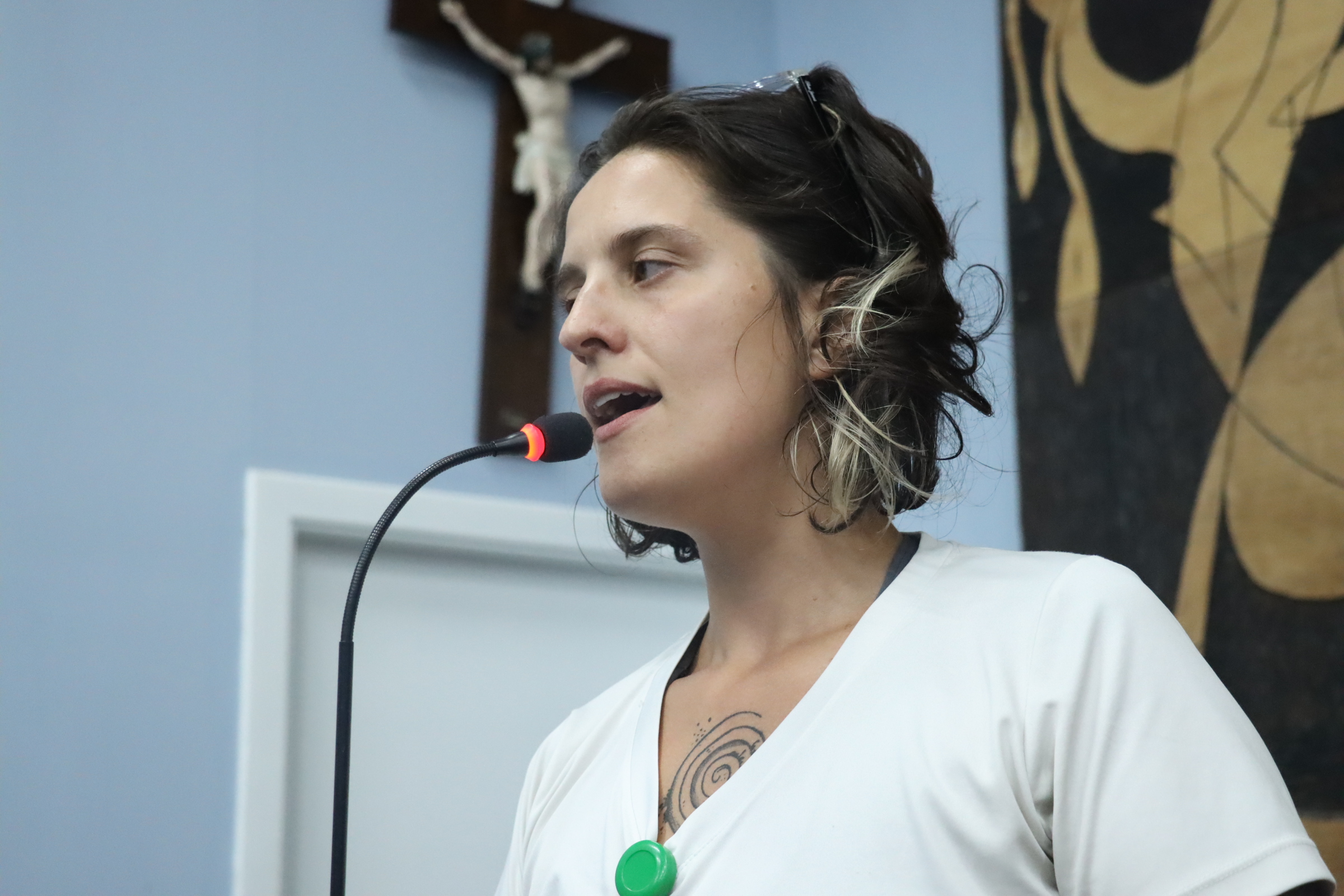 Coletivo cobra políticas públicas contra feminicídio e realiza audiência na Câmara Municipal